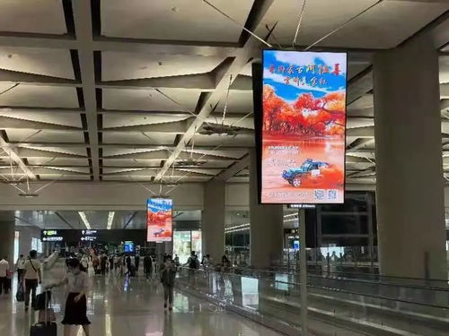 醉美金秋邀您同行 阿拉善宣傳廣告亮相上海虹橋國際機場