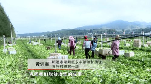 全國勞動模范黃訓奎 老驥伏櫪 只為鄉親生活更美好