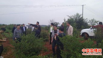 垂頭自惜千金骨,伏櫪仍存萬(wàn)里心