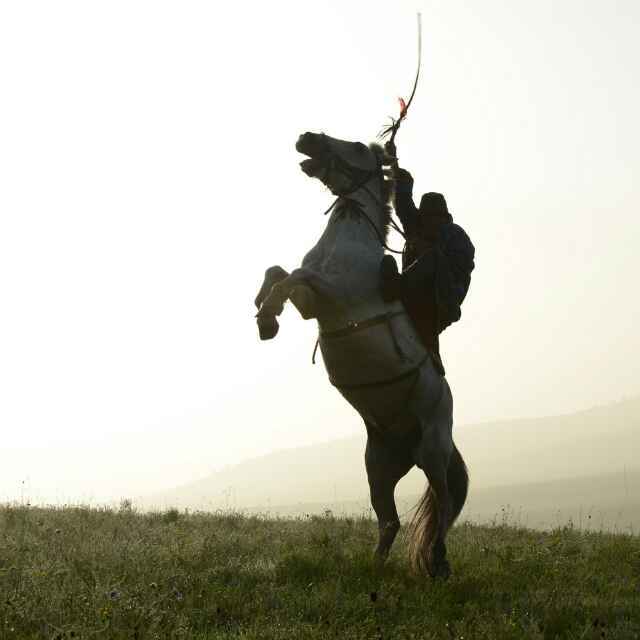 學(xué)海無涯，伏櫪前行